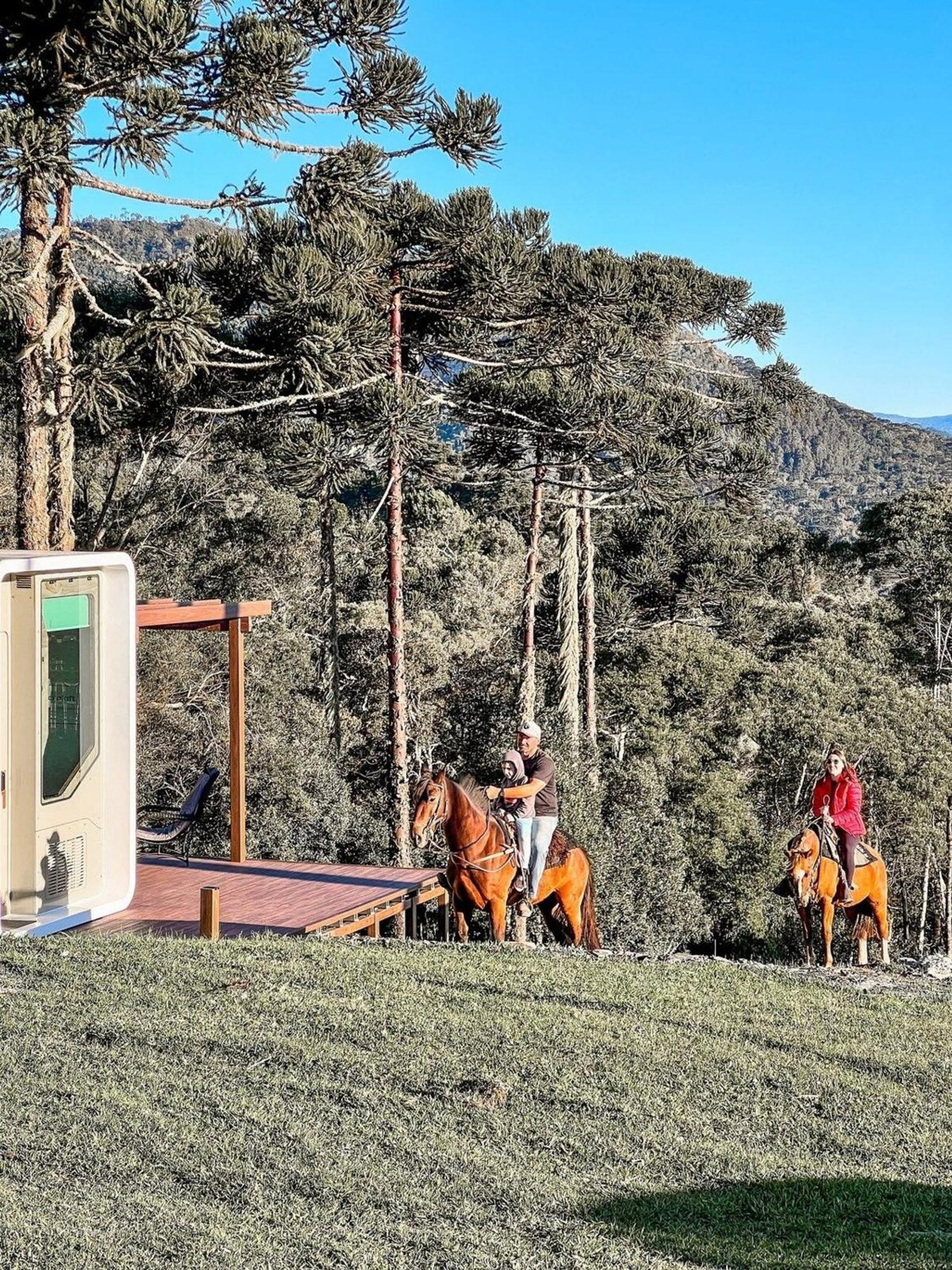 Capsula Futuristica - Experiencia Unica. Holiday home